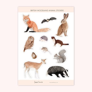 Woodland Animal Stickers British Wild Animal Stickers Wildlife Stickers Woodland Stickers Watercolour Stickers image 1