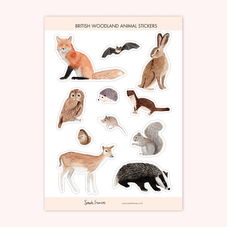 Woodland Animal Stickers British Wild Animal Stickers Wildlife Stickers Woodland Stickers Watercolour Stickers image 1