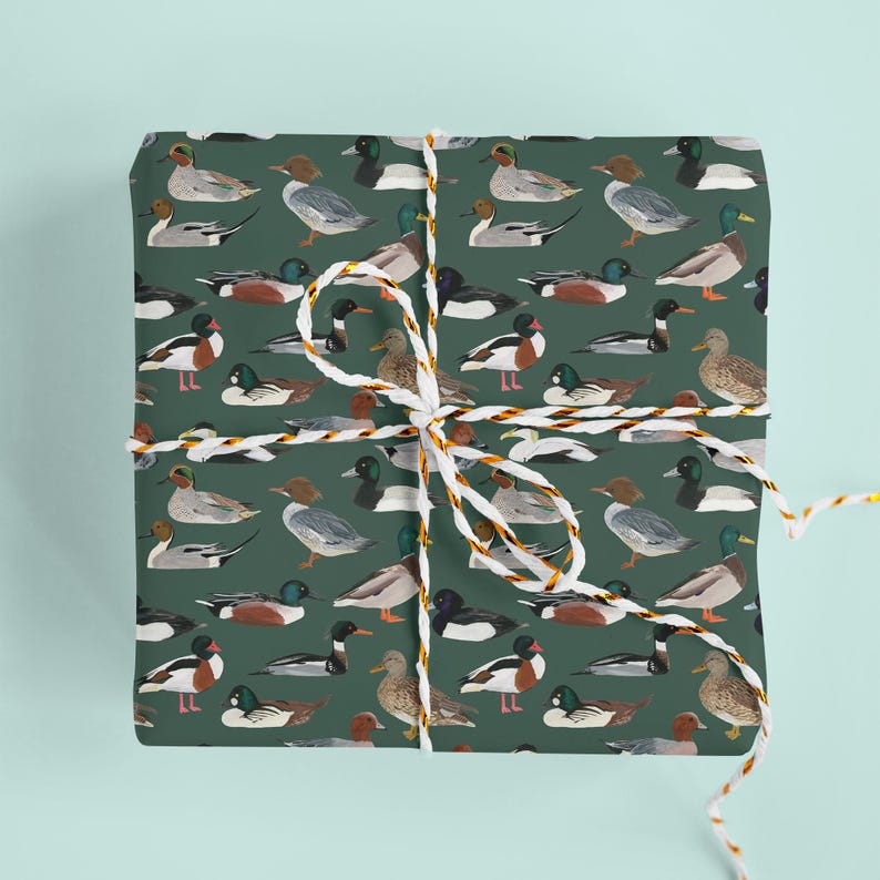 May include: A wrapped gift with duck-themed wrapping paper. The paper is dark green and features various illustrations of ducks in different poses. The gift is tied with white and gold twine, creating a decorative presentation.
