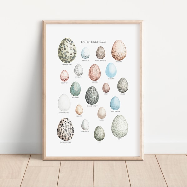 British Birds' Eggs Watercolour Art Print - Birds' Eggs Print - British Nature Art Print - Bird Eggs Print - Watercolour Egg Print