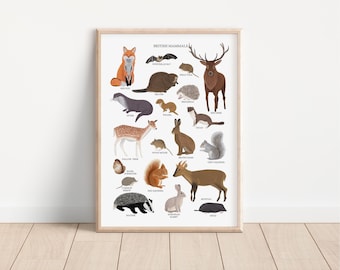 Illustrated Mammals Print - Natural History Nursery Art - Etsy