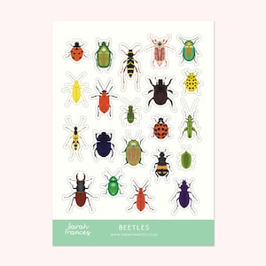 British Beetles Stickers - Illustrated Insect Stickers - Planner Stickers - Bullet Journal Stickers - BuJo Stickers - Nature Sticker Sheet