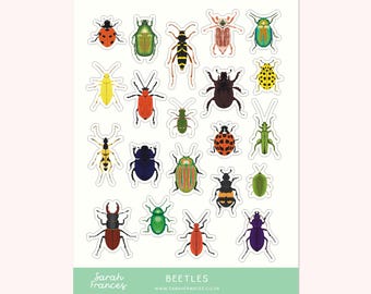 British Beetles Stickers - Illustrated Insect Stickers - Planner Stickers - Bullet Journal Stickers - BuJo Stickers - Nature Sticker Sheet