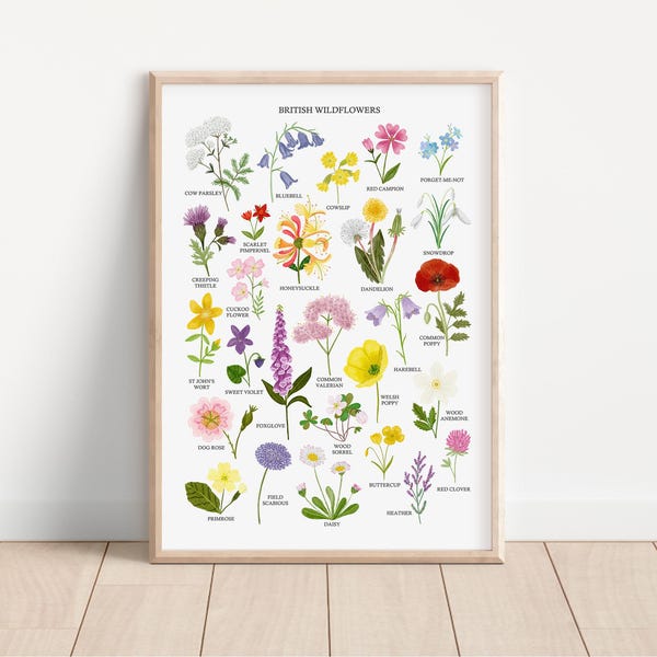 Impresión de flores silvestres británicas - Póster de arte de flores silvestres - Impresión de flores en acuarela - Ilustración de flores silvestres - Impresión de naturaleza británica - Impresión floral