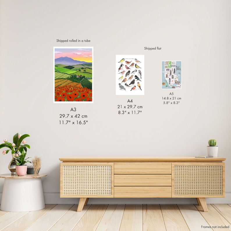 May include: Three different sizes of prints, A3, A4, and A5, are shown on a white wall. The A3 print is a landscape scene with a rolling green hill, a red poppy field, and a blue sky with pink clouds. The A4 print is a colorful illustration of a variety of birds. The A5 print is a map of a park. The prints are displayed on a wall above a wooden cabinet with a woven rattan front.