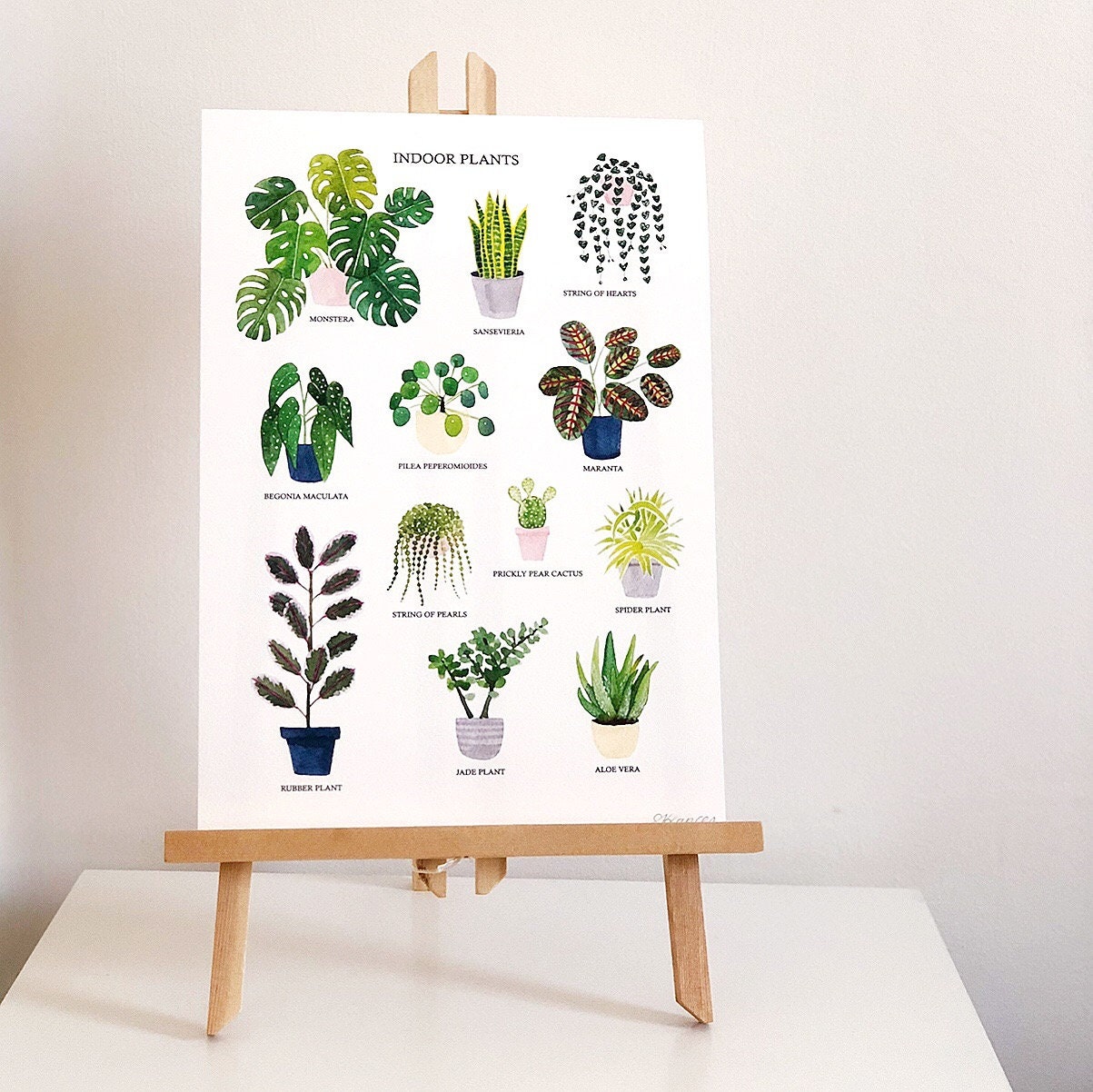 Indoor Plants Print House Plants Print Watercolour Plant | Etsy