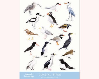 British Coastal Bird Stickers - Bird Sticker Sheet - Illustrated Sticker Sheet - Coastal Bird Stickers - Bullet Journal Stickers