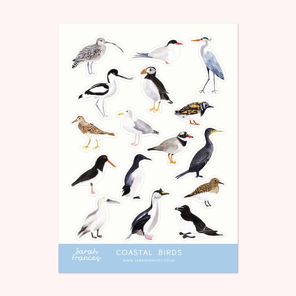 British Coastal Bird Stickers - Bird Sticker Sheet - Illustrated Sticker Sheet - Coastal Bird Stickers - Bullet Journal Stickers