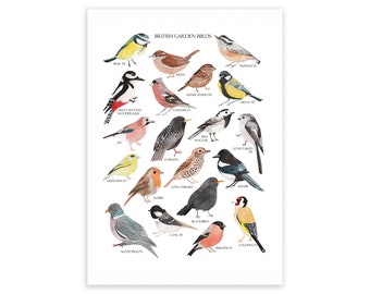 British Birds Print - Aquarelle Art Print - British Nature Print - Bird Gift - Aquarelle Oiseaux - British Garden Birds Print