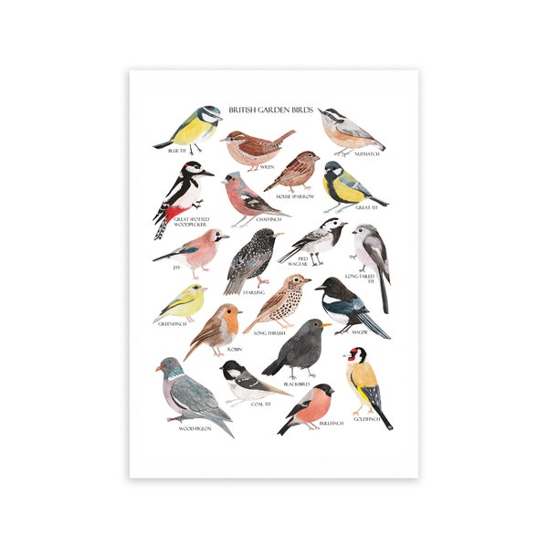 British Birds Print - Aquarelle Art Print - British Nature Print - Bird Gift - Aquarelle Oiseaux - British Garden Birds Print