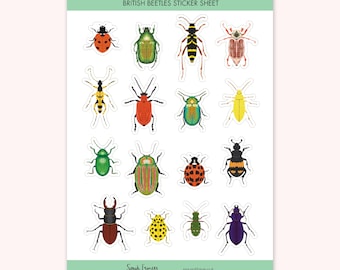 British Beetles Stickers - Illustrated Insect Stickers - Planner Stickers - Bullet Journal Stickers - BuJo Stickers - Nature Sticker Sheet