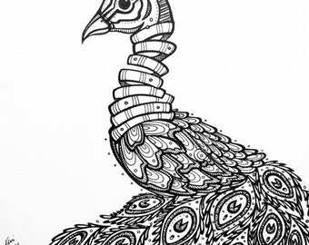 Peacock