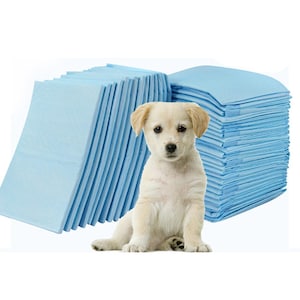 May include: A stack of light blue absorbent pads for pets, with a small, light-colored puppy sitting in front of them. The pads are rectangular and appear to be made of a soft, absorbent material. The puppy has light brown fur and is looking directly at the camera.