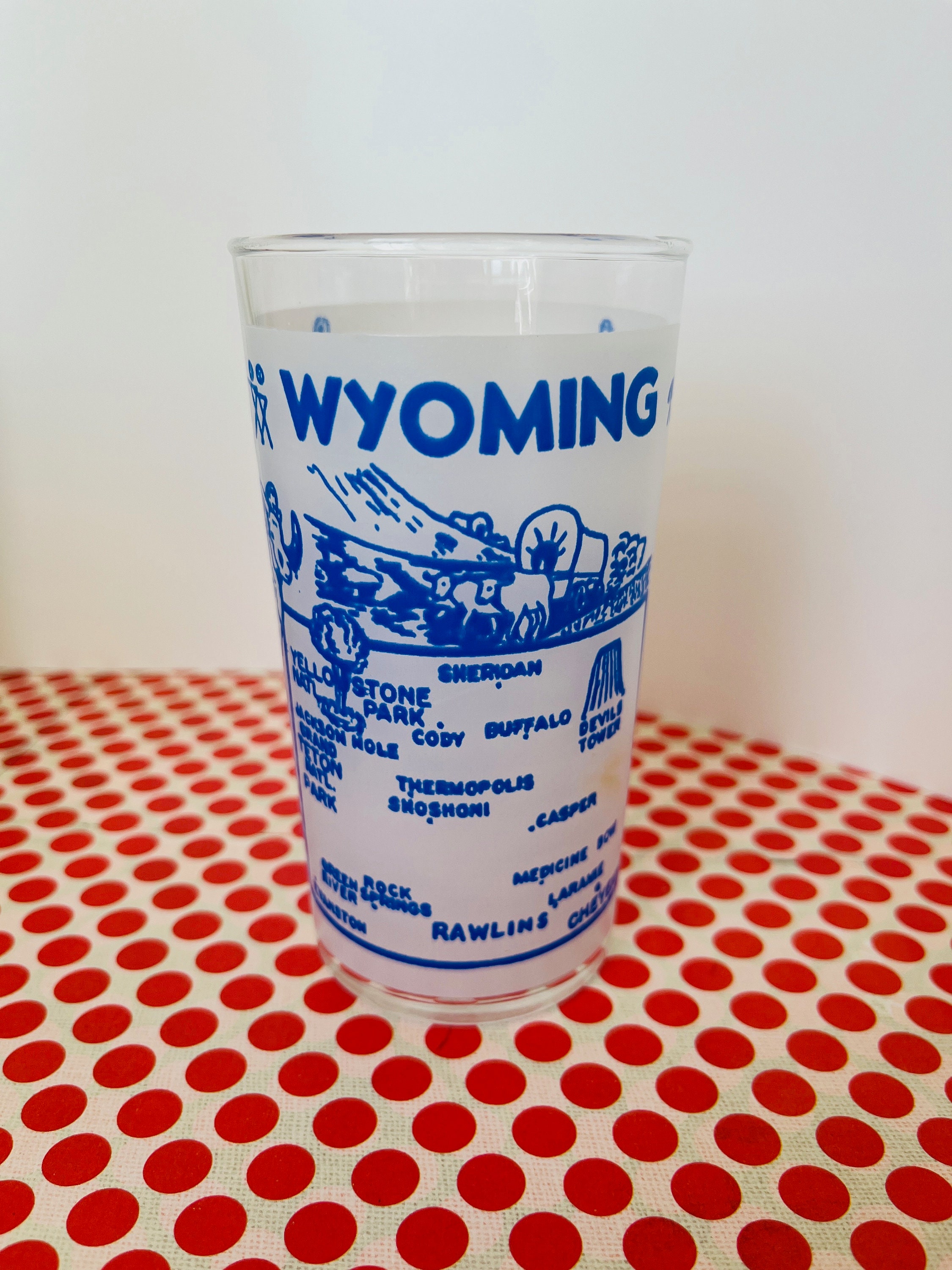 Vintage Midcentury Frosted State Tumbler: Retro Cocktail Glass - Etsy