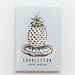 Charleston Pineapple Fountain Magnet; Charleston, SC Souvenir, Pineapple Refrigerator Magnet