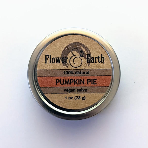 Pumpkin Spice Healing Salve, Cuticle Balm, All Natural Salve, Fall Scented Hand Cream, Vegan Gifts for Her, Thanksgiving Hostess Gift Idea