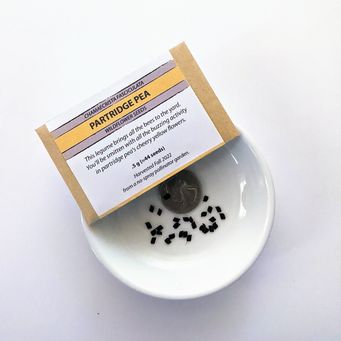 Partridge Pea Seeds Native Plant Seeds for Planting Etsy