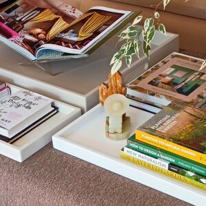 May include: Two white rectangular serving trays holding various books and decorative items. One tray contains The Book of Delights by Ross Gay. The other tray holds a stack of gardening books, a small stone cactus sculpture, and a white plant pot.