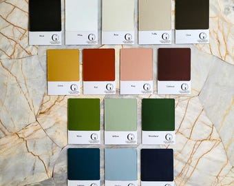 Tray Color Sample Card by Gleaming Renditions