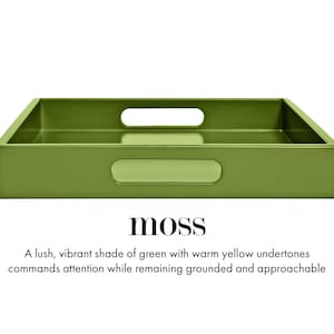 20 x 20 Square Ottoman Coffee Table Tray with Handles Moss