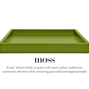 15 x 22 Shallow Rectangle Decorative Tray Moss
