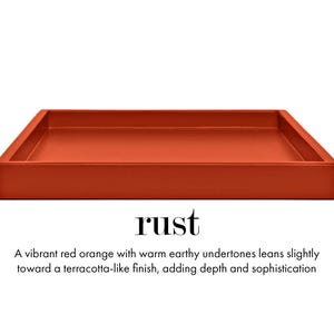 15 x 22 Shallow Rectangle Decorative Tray Rust