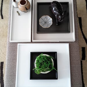 May include: A collection of rectangular and square trays in white, light gray, and black. The trays hold a ceramic vase, a small gold figurine, a black animal sculpture, a patterned bowl, and a white bowl filled with bright green moss.