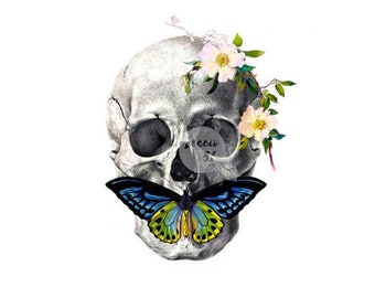 DUMB SKULL I Set of 3 Temporary tattoos Skull, Flowers & Butterfly / Body Art Tattoo / Realistic Tattoo Sticker Scientific illustration