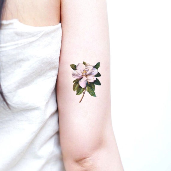 X 上的 rachainsworthSmall magnolias thank you Silvia       rachainsworth tattooartist tattoo armtattoo magnolia magnoliatattoo  magnolias smalltattoo flowertattoo tattoodesign floraltattoo  flowerigers tattooart botanicaltattoo 