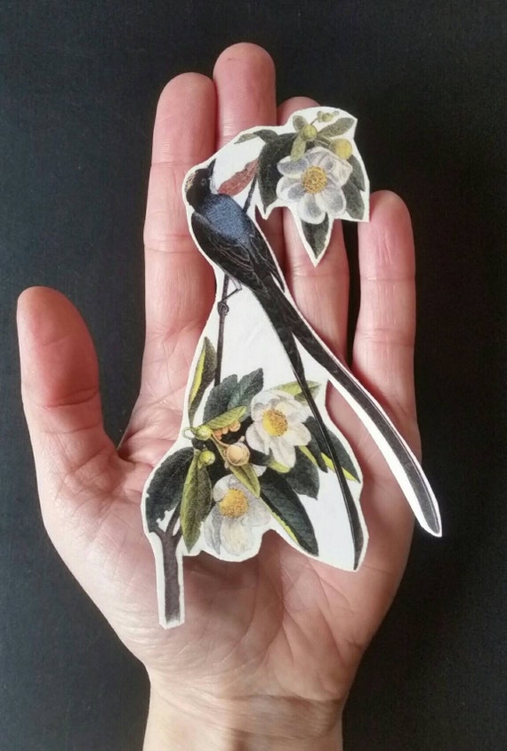 Tatouage Temporaire Hirondelles Fleurs Symbole De Liberté La Passion Se Déplace Et Lindépendance De Cadeau Pour Les Amoureux De La Nature