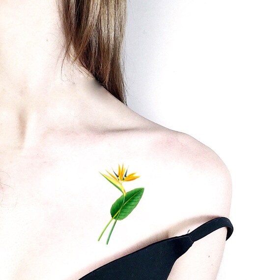 Cadeau De 9e Anniversaire Mariage Temporaire Tatouage Oiseau De Paradis Strelitzia Symbole De La Capacité à Surmonter Les Difficultés Cadeau