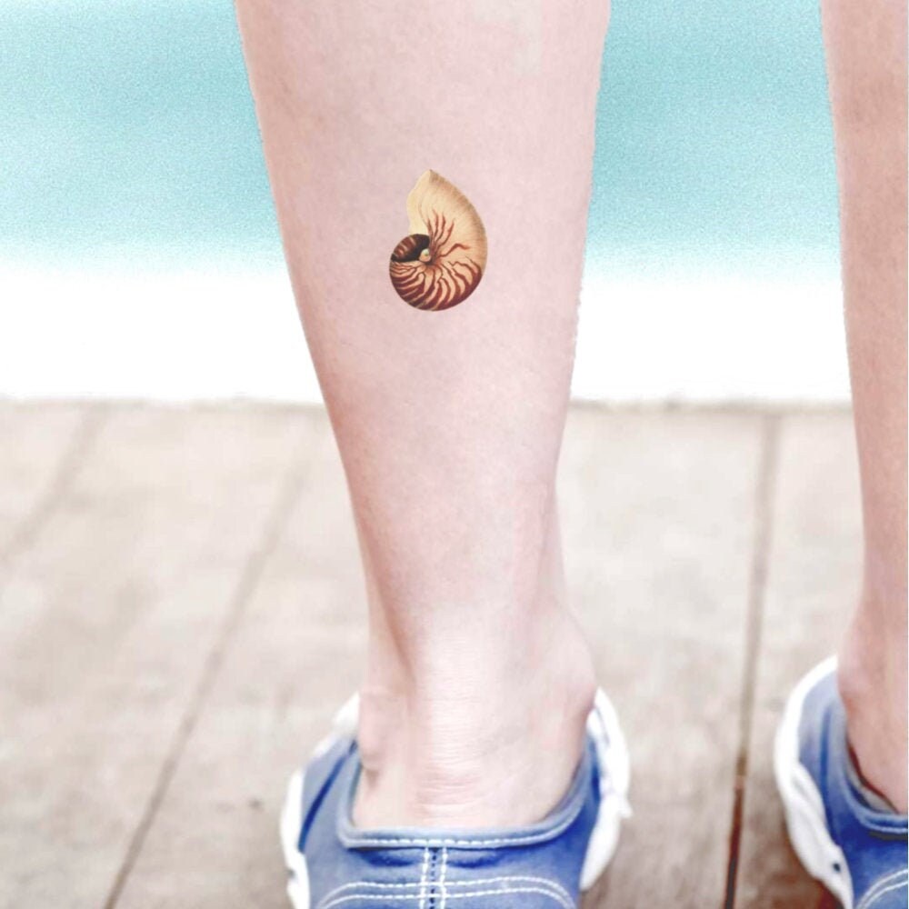 Temporary Tattoo Nautilus Symbol Of Creation Beauty Of Nature Gift Unisex For Ocean Lovers Shell