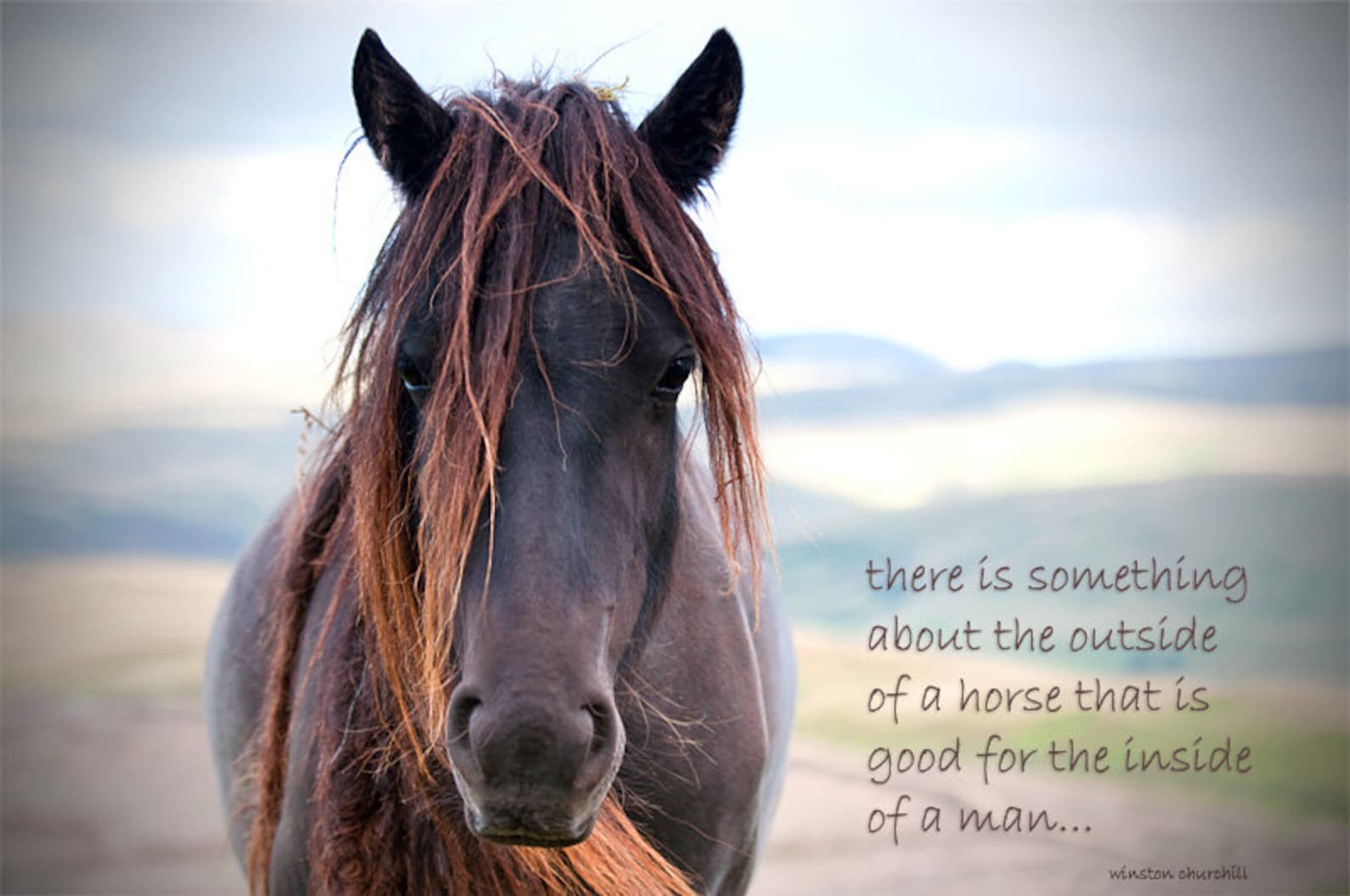 Inspirational Quotation, Horse Photo With Quote, Rustic Decor, Equine