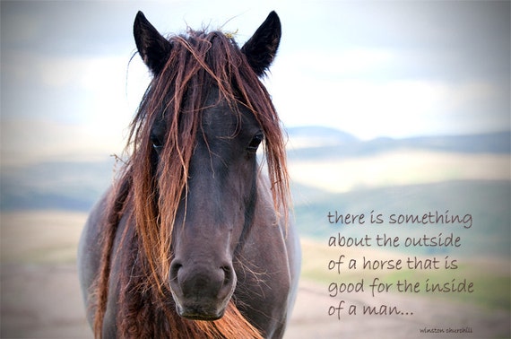 Inspirational Quotation Horse Photo With Quote Rustic Decor Etsy Canada