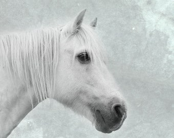 Horse art, equine art, horse photography, equine decor, shabby chic wall art, white, sepia, mint, green, aqua