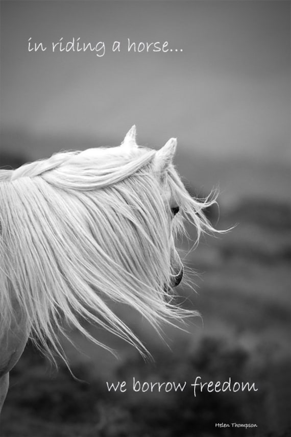 Exemples De Citation Citation Photo De Cheval Dans Un Etsy Exemples De Citation Citation Photo De Cheval Dans Un Etsy