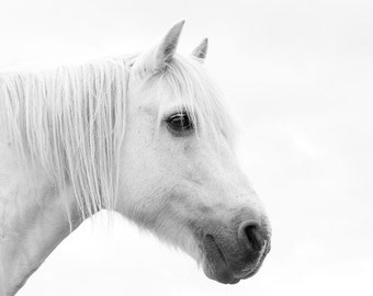 White horse photo, nursery decor, equine photo, equestrian art, large horse art, whimsical, dreamy, white, sepia, gray, ochre