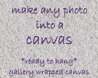 Canvas art, horse on canvas, canvas home decor, large canvas, canvas print, choice of sizes