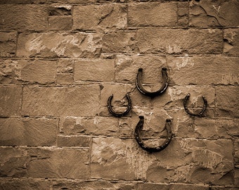 Horse shoe art, horse shoe decor, barn photography, ranch decor, horse shoe photo, sepia, rustic