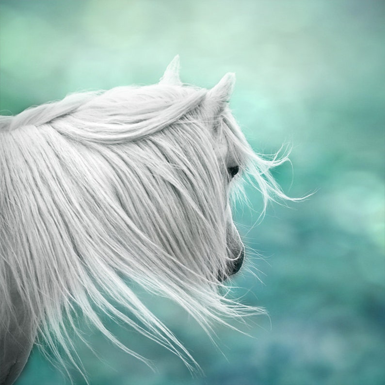 Teal wall art, fantasy art, surreal horse photo, magical, nursery art, girls wall decor, green, mint, aqua image 1