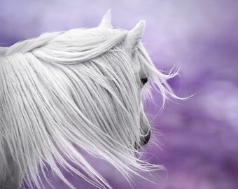 Whimsical wall art, fantasy art, surreal horse photo, purple, lavender, nursery art, girls wall decor, dreamy