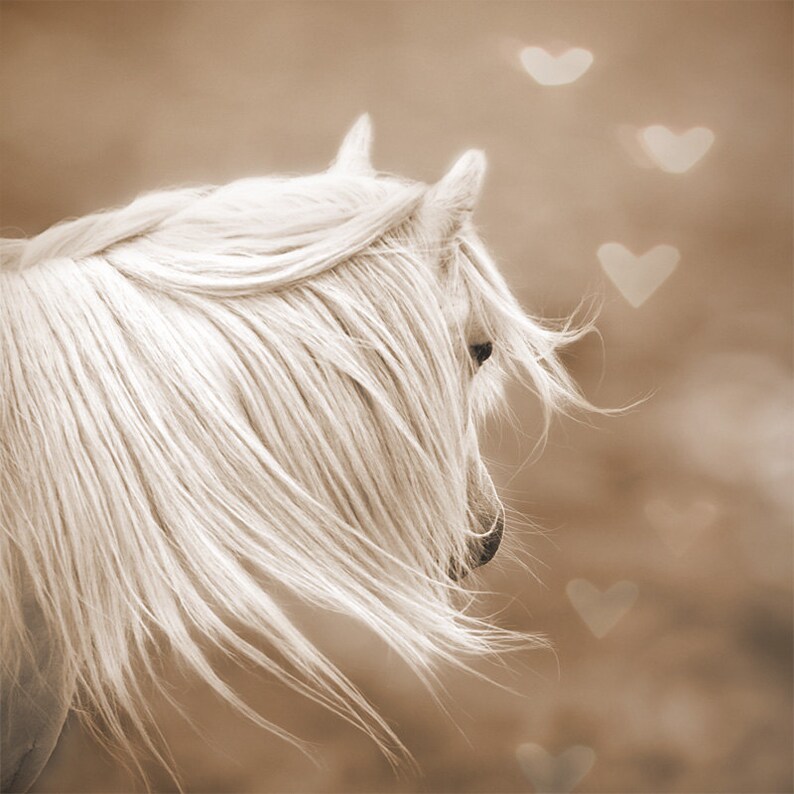 May include: A white horse with a long flowing mane stands in a field with a soft brown background.  The horse is looking to the right of the frame.  There are several blurry heart shapes in the background.