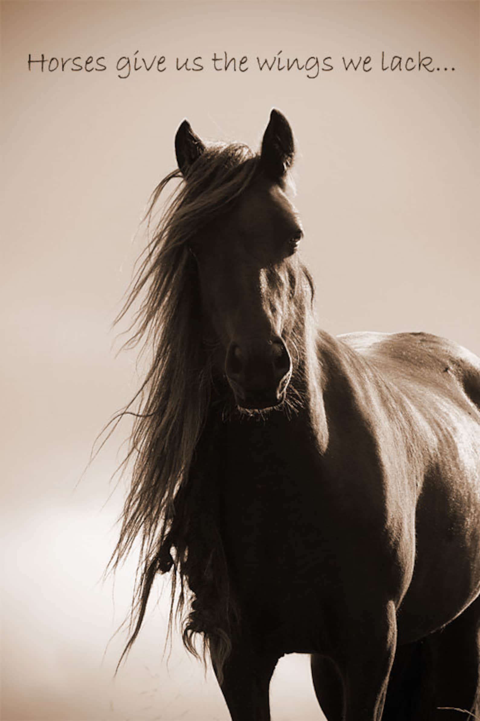 Inspirational Quote Quotation, Horse Photo, horses Give Us the Wings We