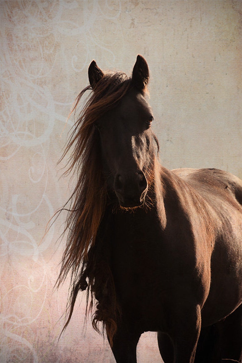 Large Horse Art Autumn Decor Horse Photography Equine Art Etsy
