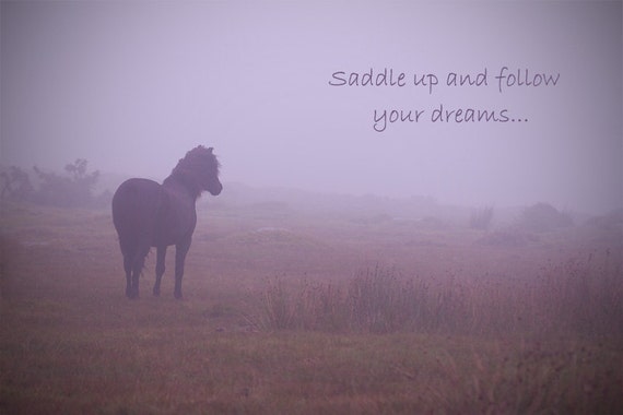 Citation Citation Cheval Cheval De Pourpre Photo Cheval Etsy Canada