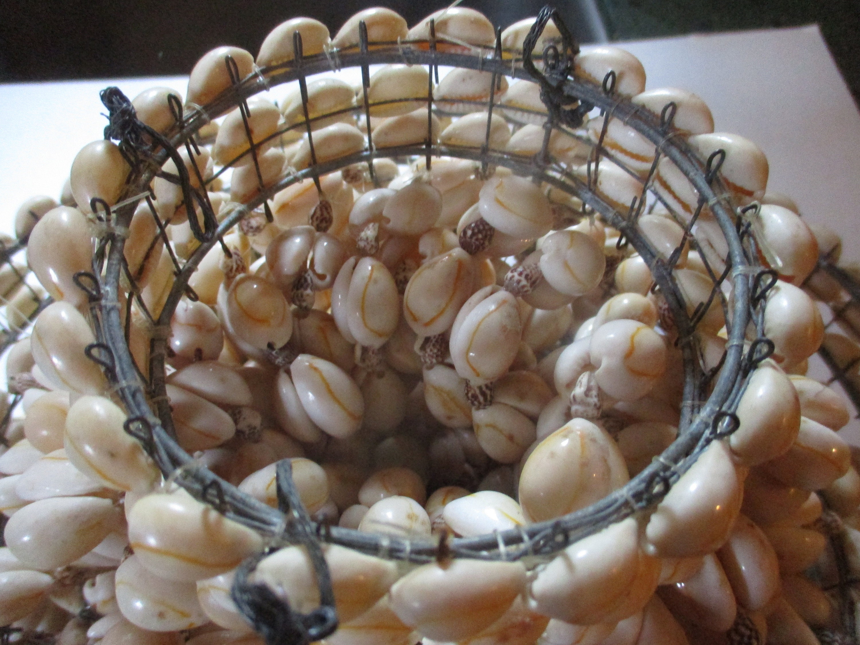 Shell Disc Lamp Shade Cowrie Shell Pendant Lamp Shade - Large Unusual Shell on Wire Form for ...