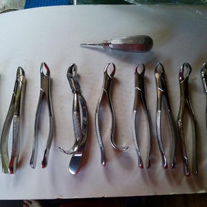 May include: A collection of dental extraction forceps and a dental elevator. The forceps are made of shiny metal and have various shapes and sizes. The elevator is silver with a pointed tip and a rounded handle.