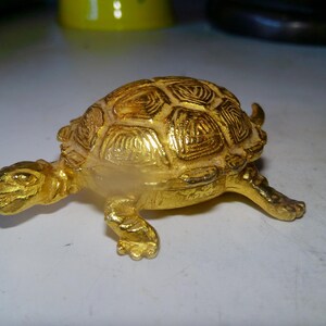 May include: A small, golden turtle figurine with detailed shell patterns and outstretched legs. The turtle is made of a shiny, gold-colored material, and is posed on a white surface.