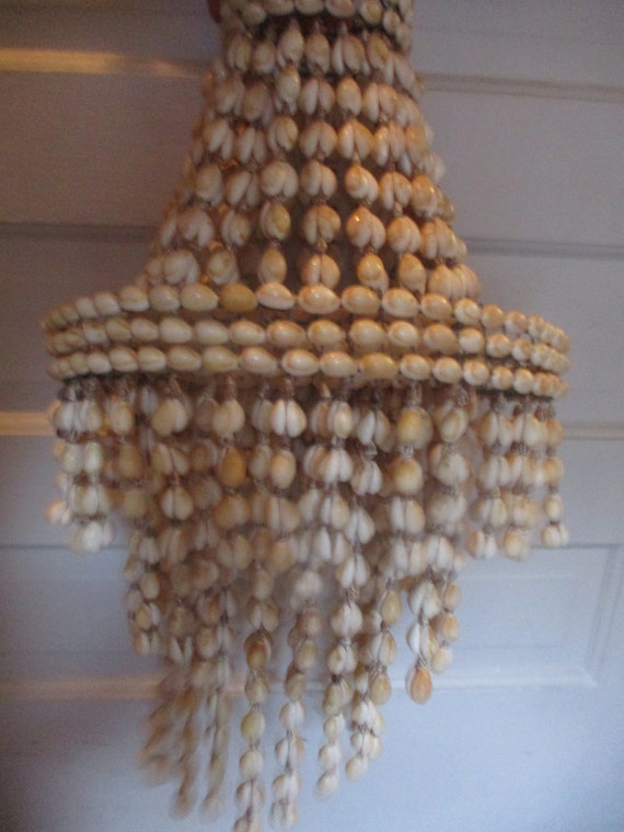 Cowrie sales shell lamp