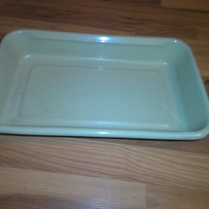 May include: A rectangular, light green serving tray with rounded corners. The tray is empty and sits on a wooden surface. The tray's interior is a lighter shade of green than the exterior.